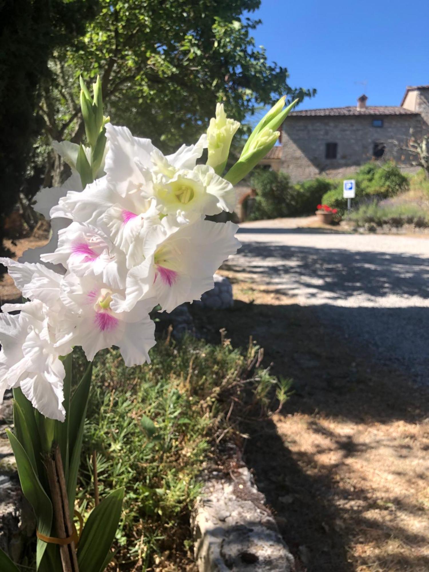 Agriturismo Malpensata رادا إنْ كيانتي المظهر الخارجي الصورة