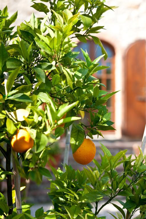 Agriturismo Malpensata رادا إنْ كيانتي المظهر الخارجي الصورة